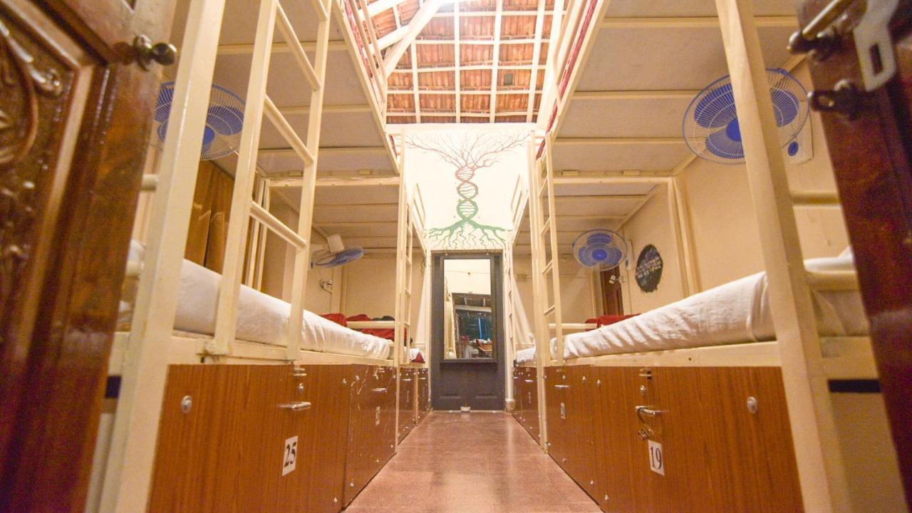 Happy Panda Hostel Arambol Goa Exteriér fotografie